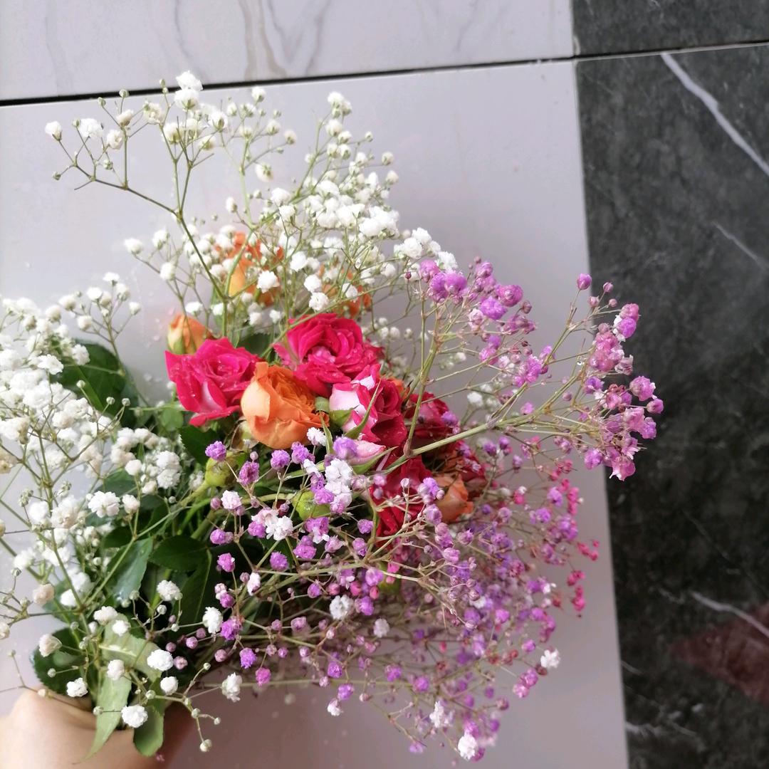 亻生偌隻初葙見