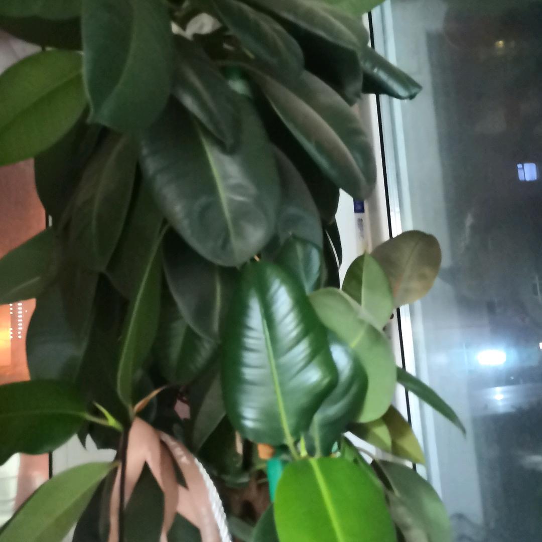 家和是福