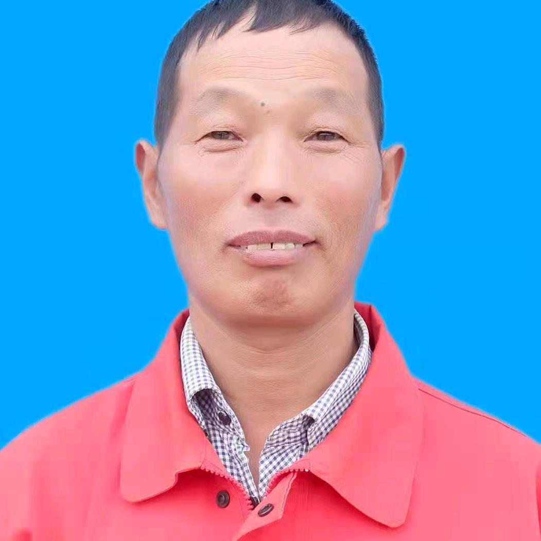 静默前行