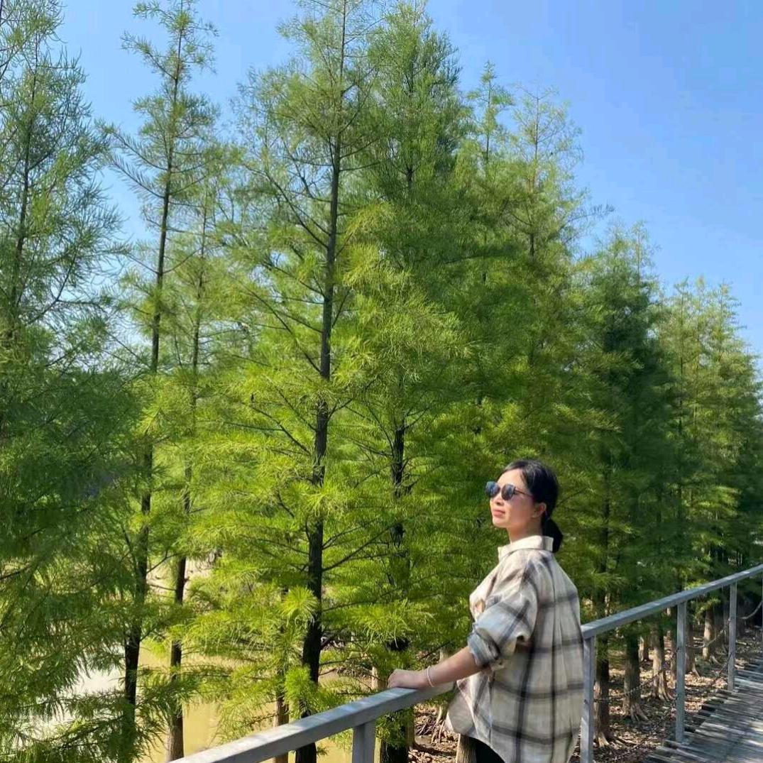 小 橙子