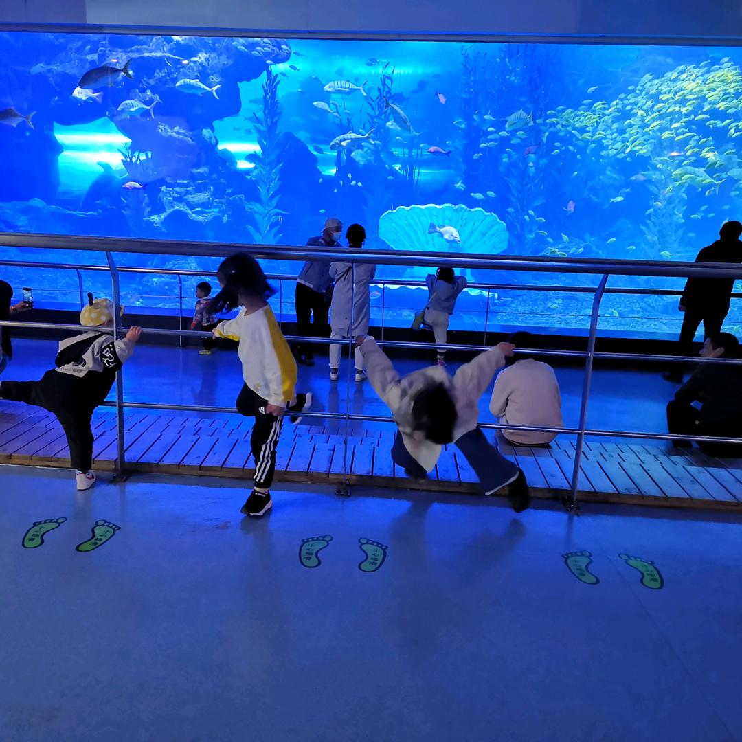 浅忆(ღ˘⌣˘ღ)