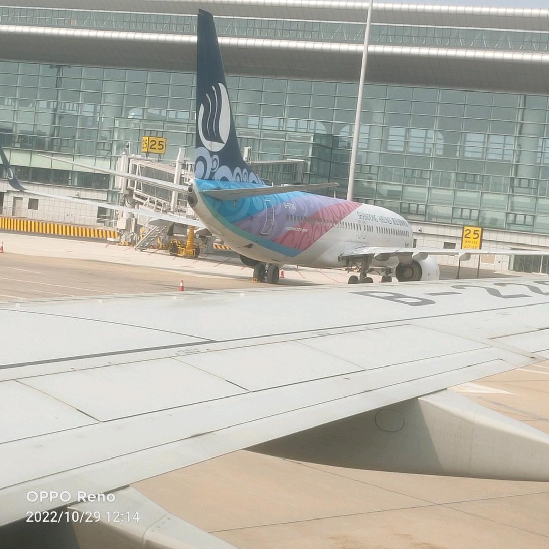 用胡萝卜勾引小白兔