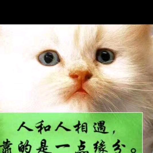 杨班长🏃