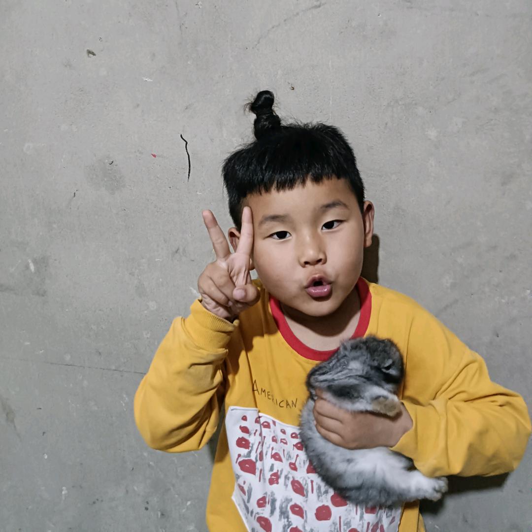 张＿凡