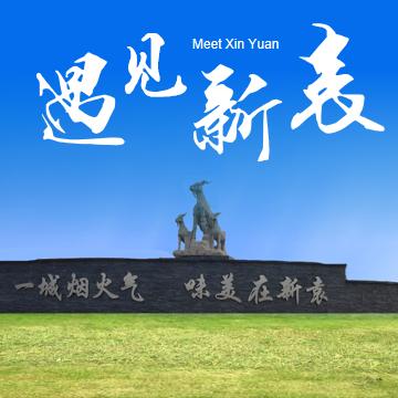 新袁工业园高主任