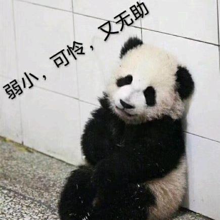 南柯～一梦
