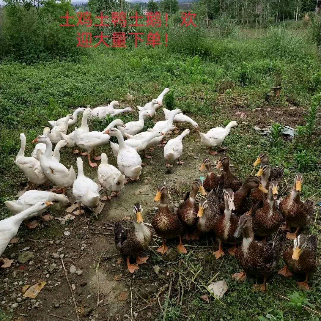 寻找幸福💰💰