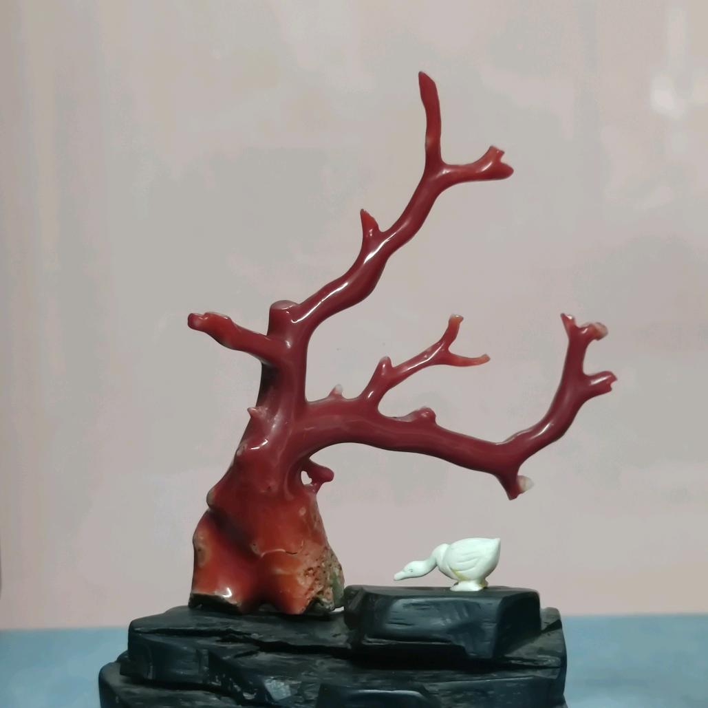 古玉观澜