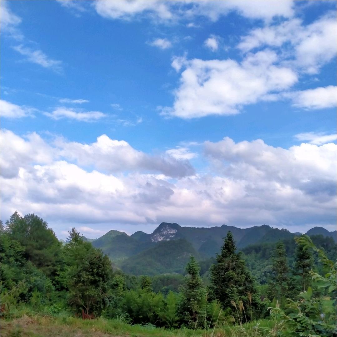 🍀🍀🍀💐💐💐