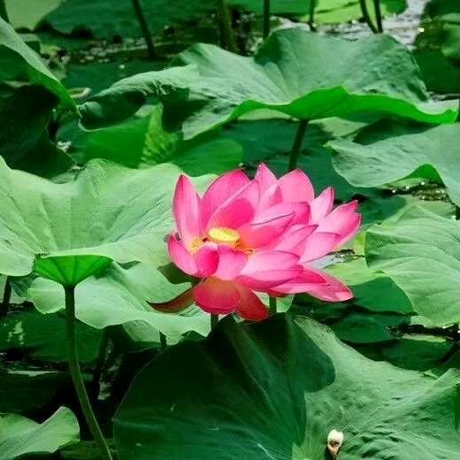 幸福一生