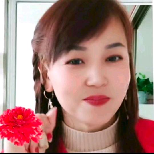 美凤