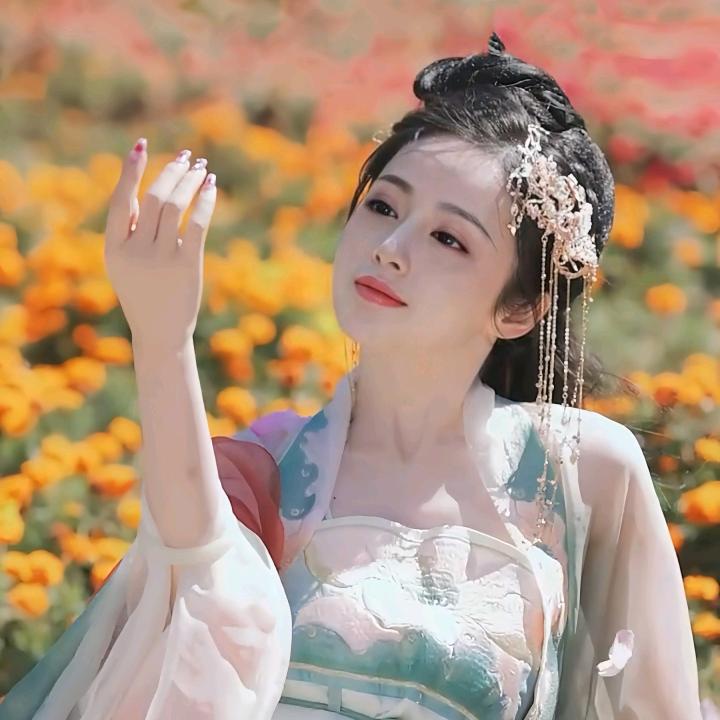 红枫叶🍁