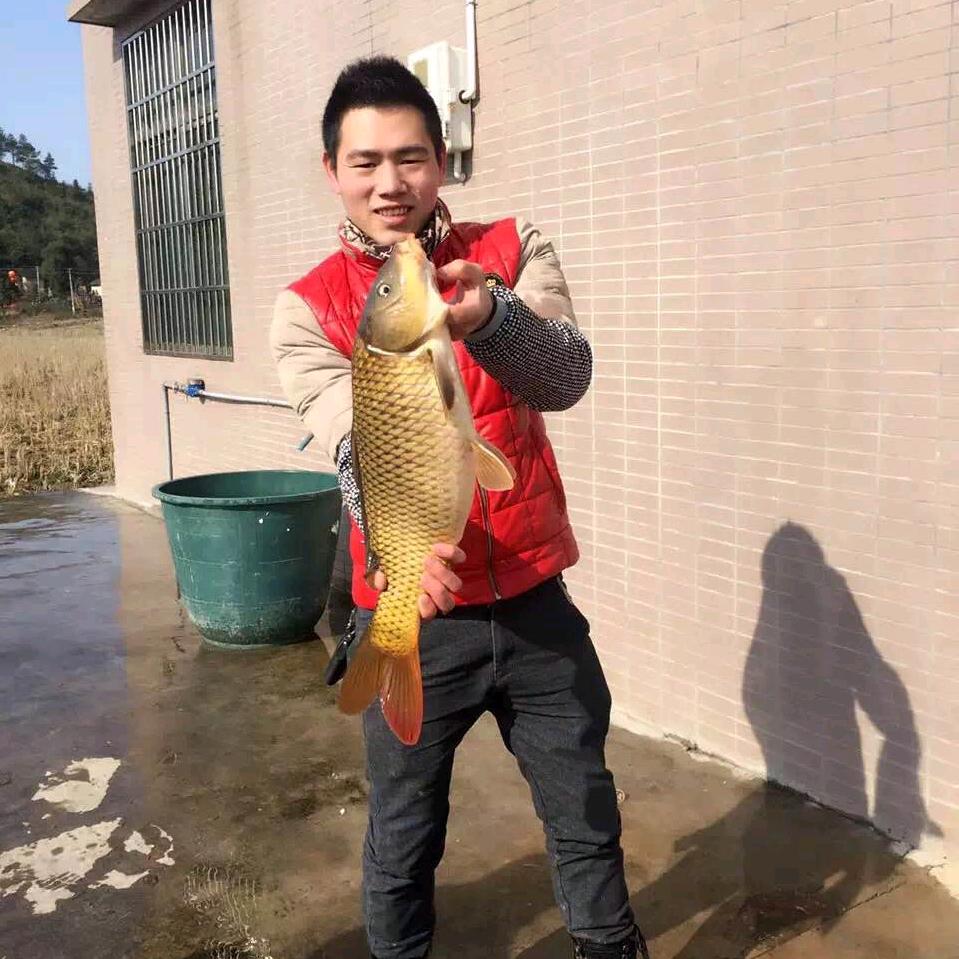 爱钓鱼的小趴菜