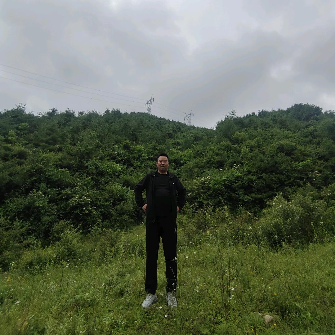 🥀随心所欲杨࿚ནོ⁵²⁰