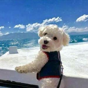 🌈🐮🐮🐮🐮🐮🐮🐮🐮🐮