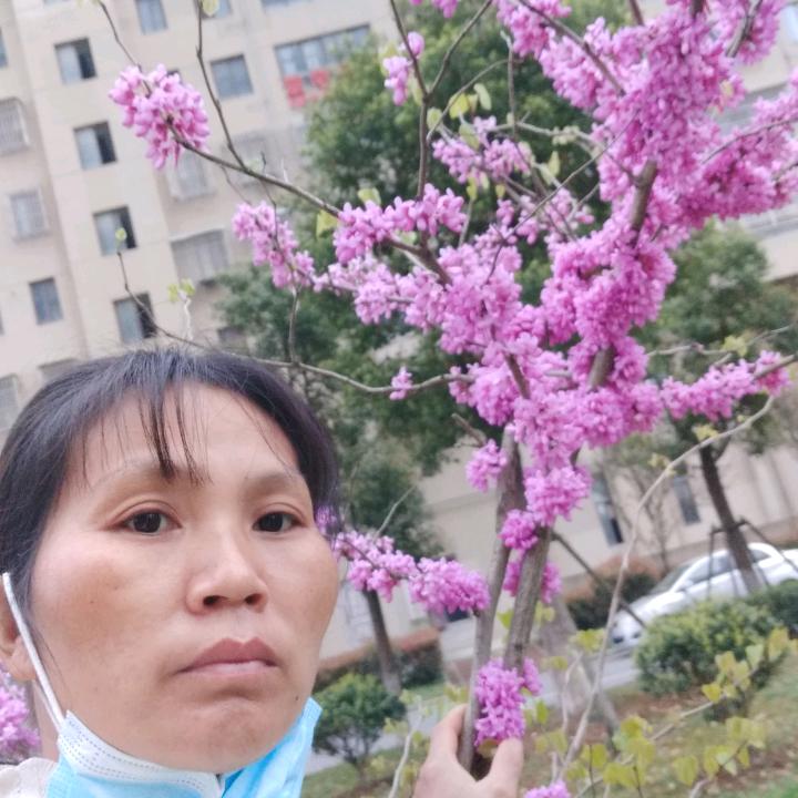 蝶恋花123