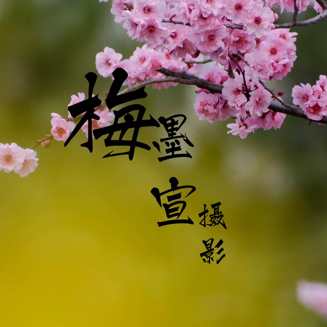 梅墨宣