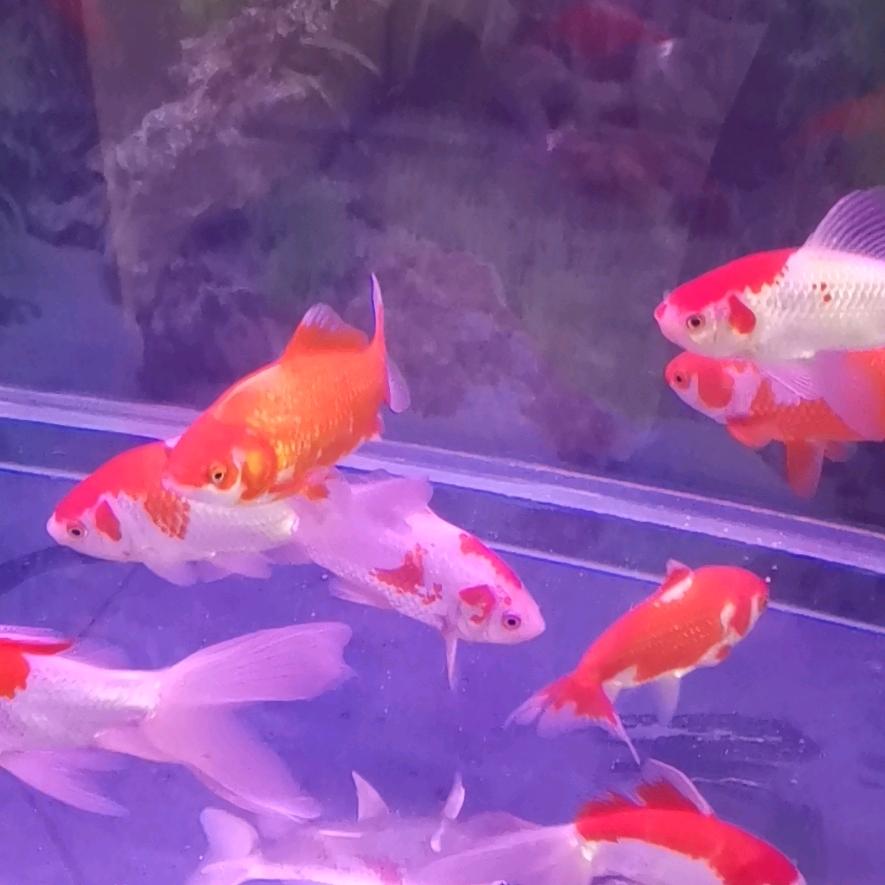 相聚时刻
