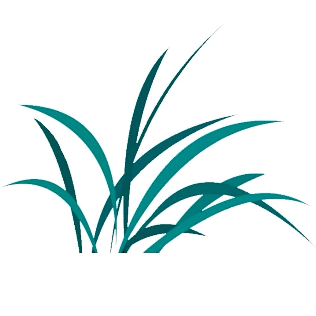 高原草