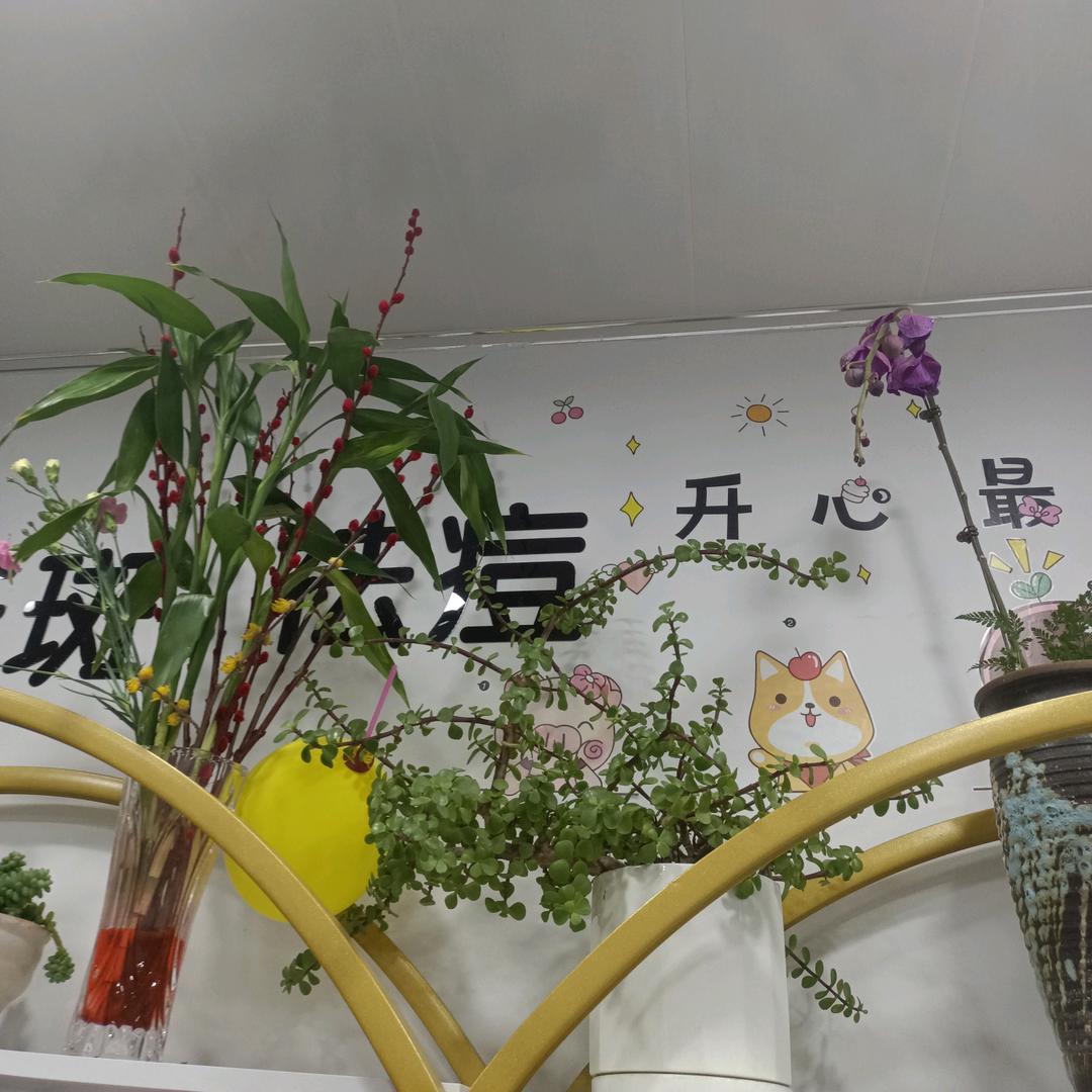 小敏祛斑42228478335