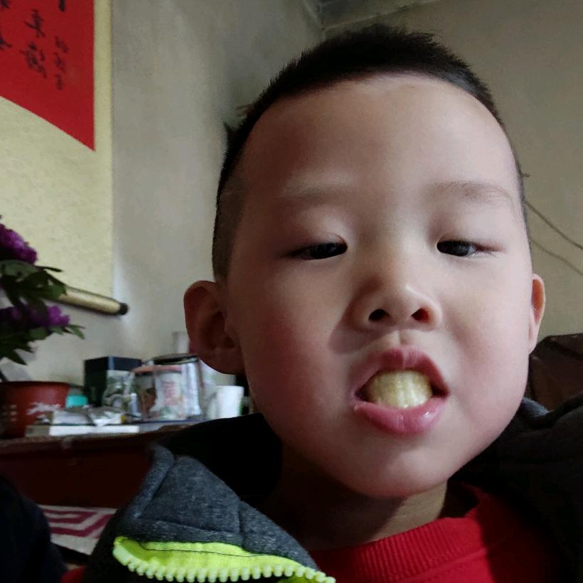 小萌新