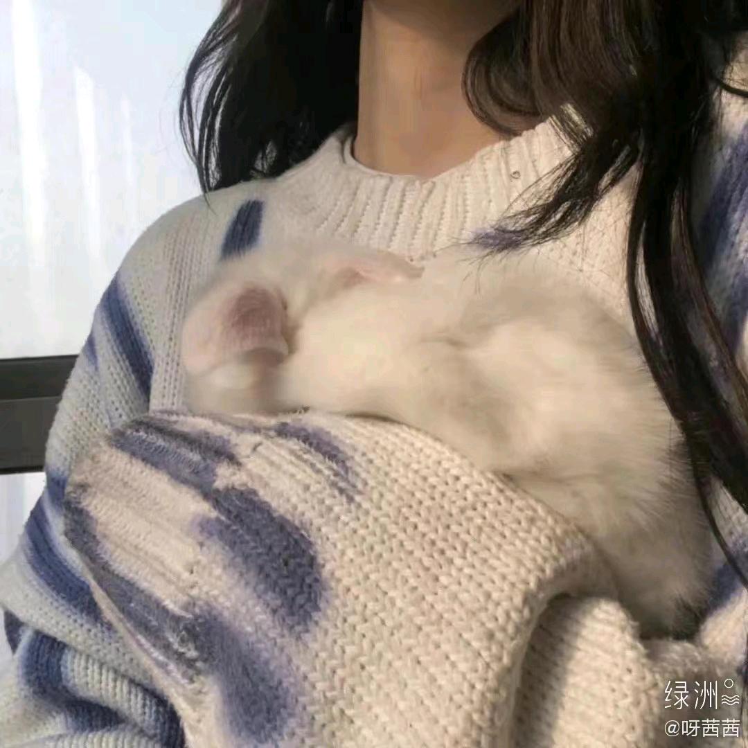 百川教育提升咨询