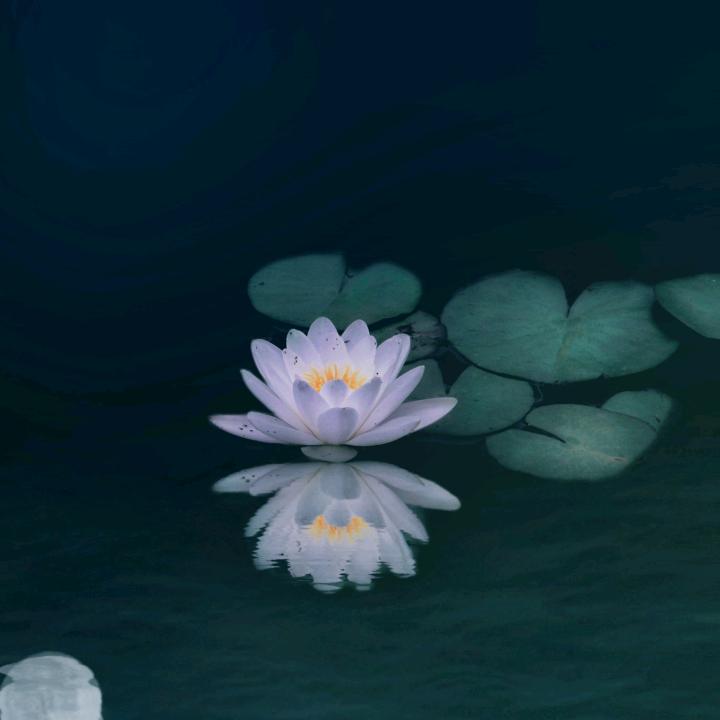 南山南，北山北