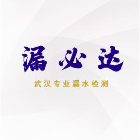 武汉漏必达漏水检测维修
