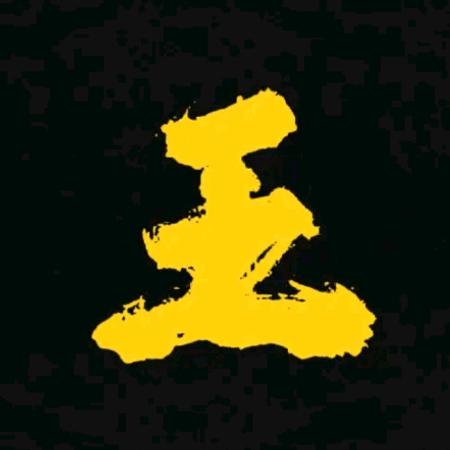 阜南王店王海峰