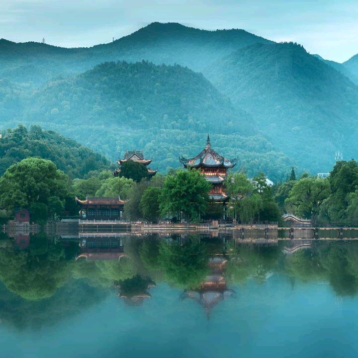 小蜂鸟