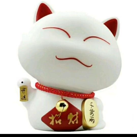 招财猫(*^ω^*)