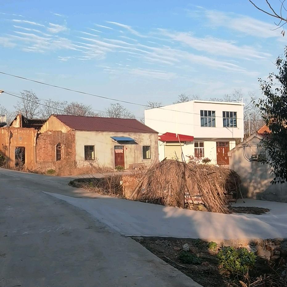 跳出海的鱼