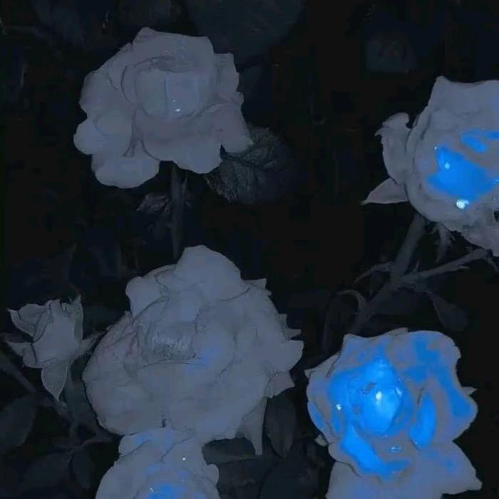 陈陈吖～