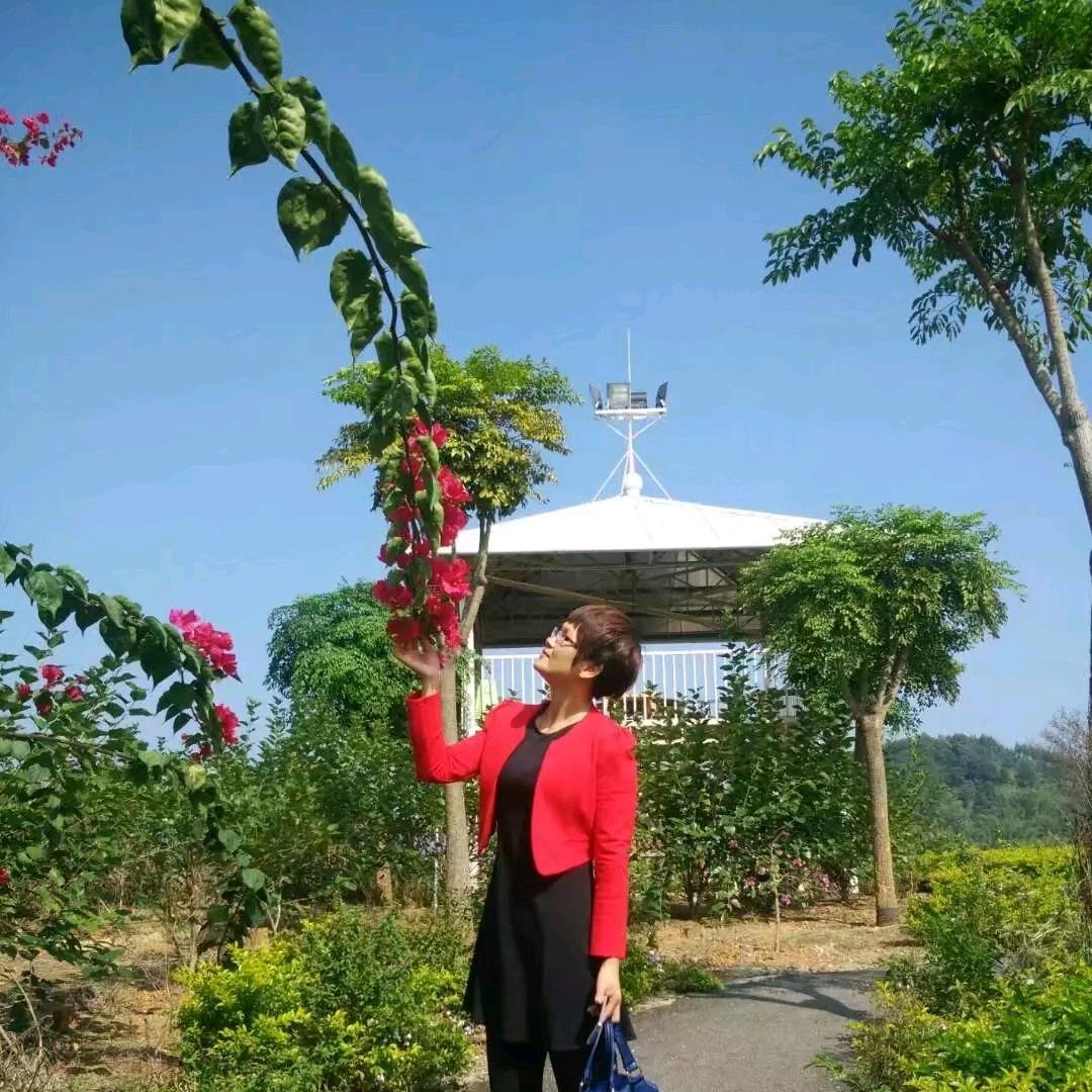 夏瑶
