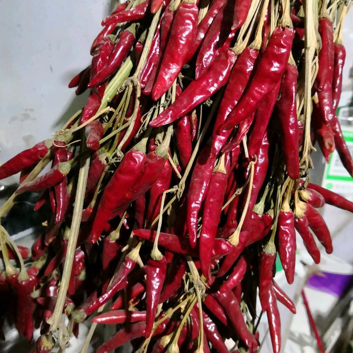 亳城冠军农资（辣椒技术服务部）