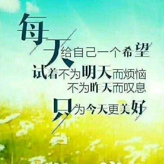 连民1221