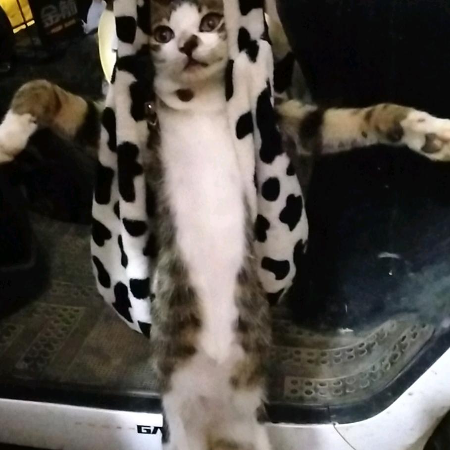 用户2864267187549