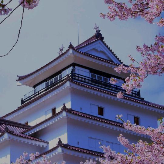 来去匆匆