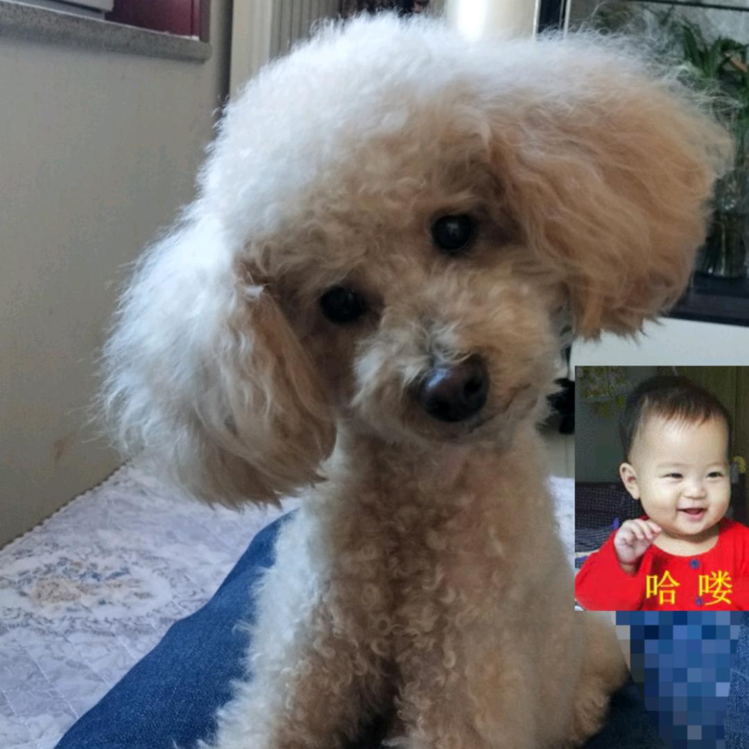 微笑雪☞月老牵线，真实靠谱☜