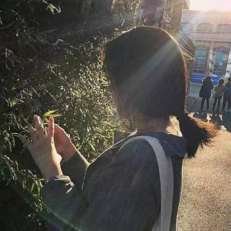 X.X🌳