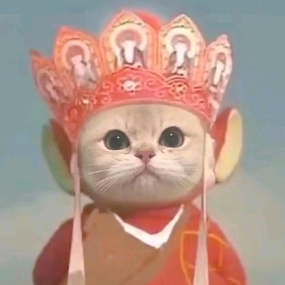 蛋黄派说娱