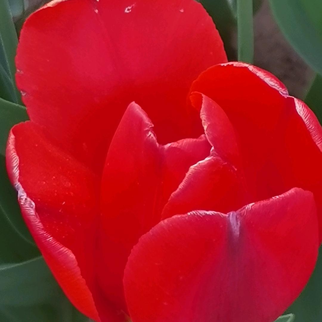 非常幸福，