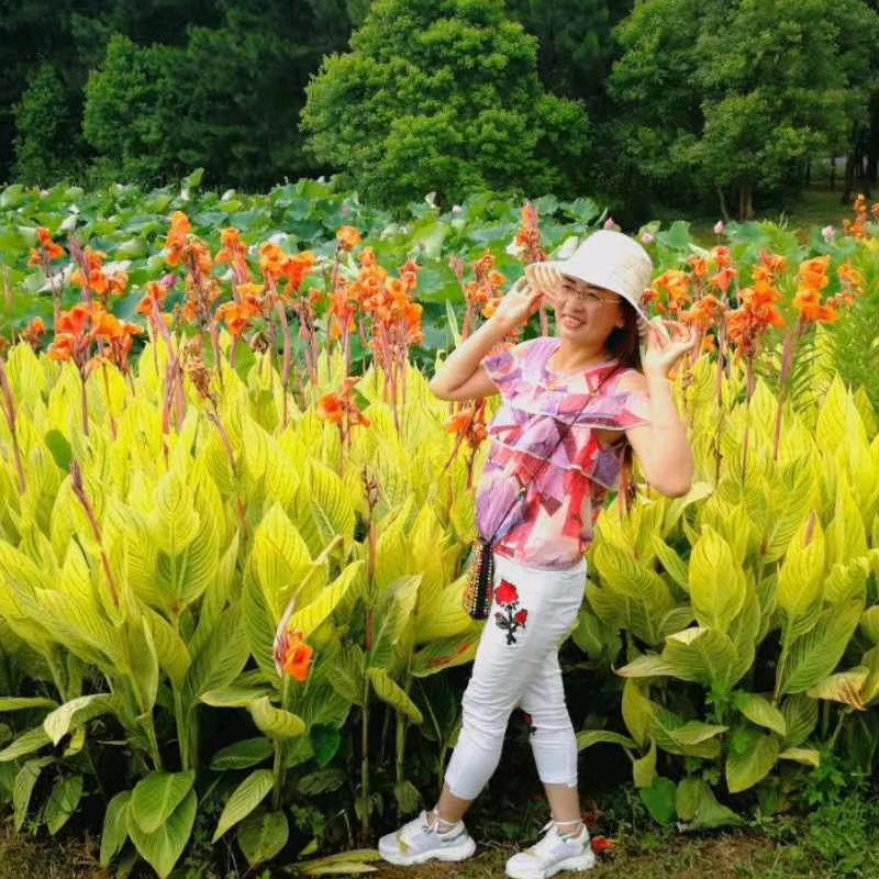 中国黄金朱晓娟