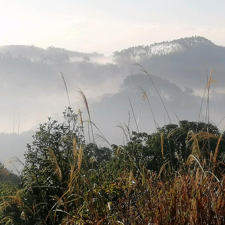 努力改变自己更好