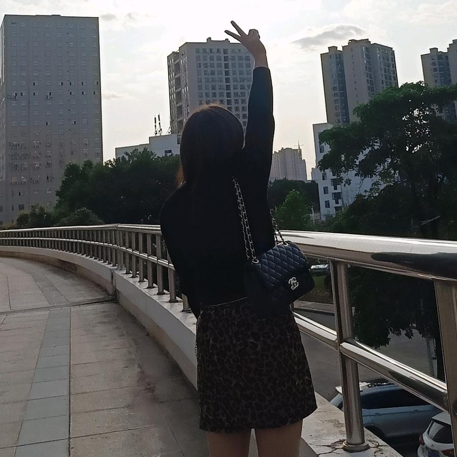 丽丫头
