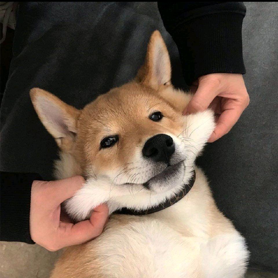 L r