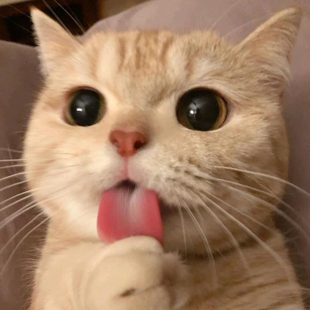 喂喂喂