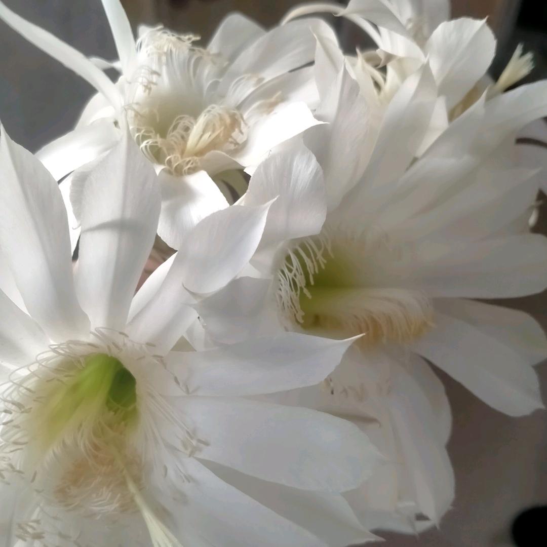 用户1640734344566林子