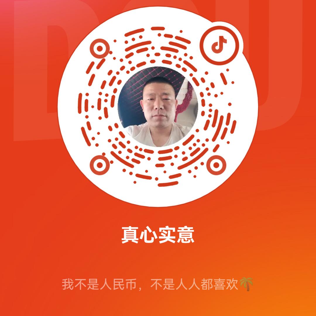 真心实意