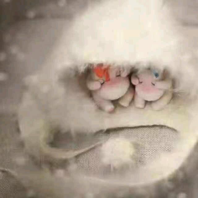 半醉看夕阳1